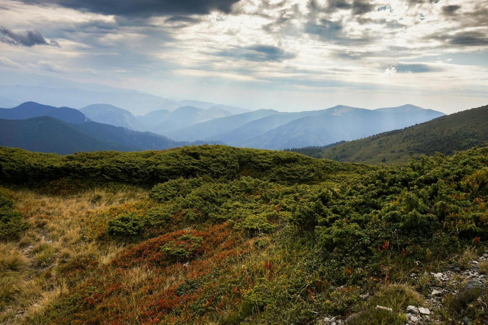 Professional visa support services and immigration consultation