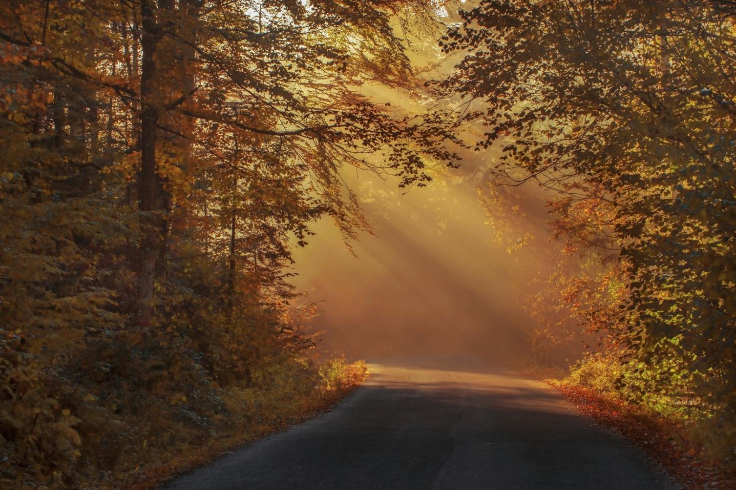 Thematic tour destination showcasing cultural heritage and scenic landscapes